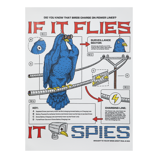 If It Flies | Poster