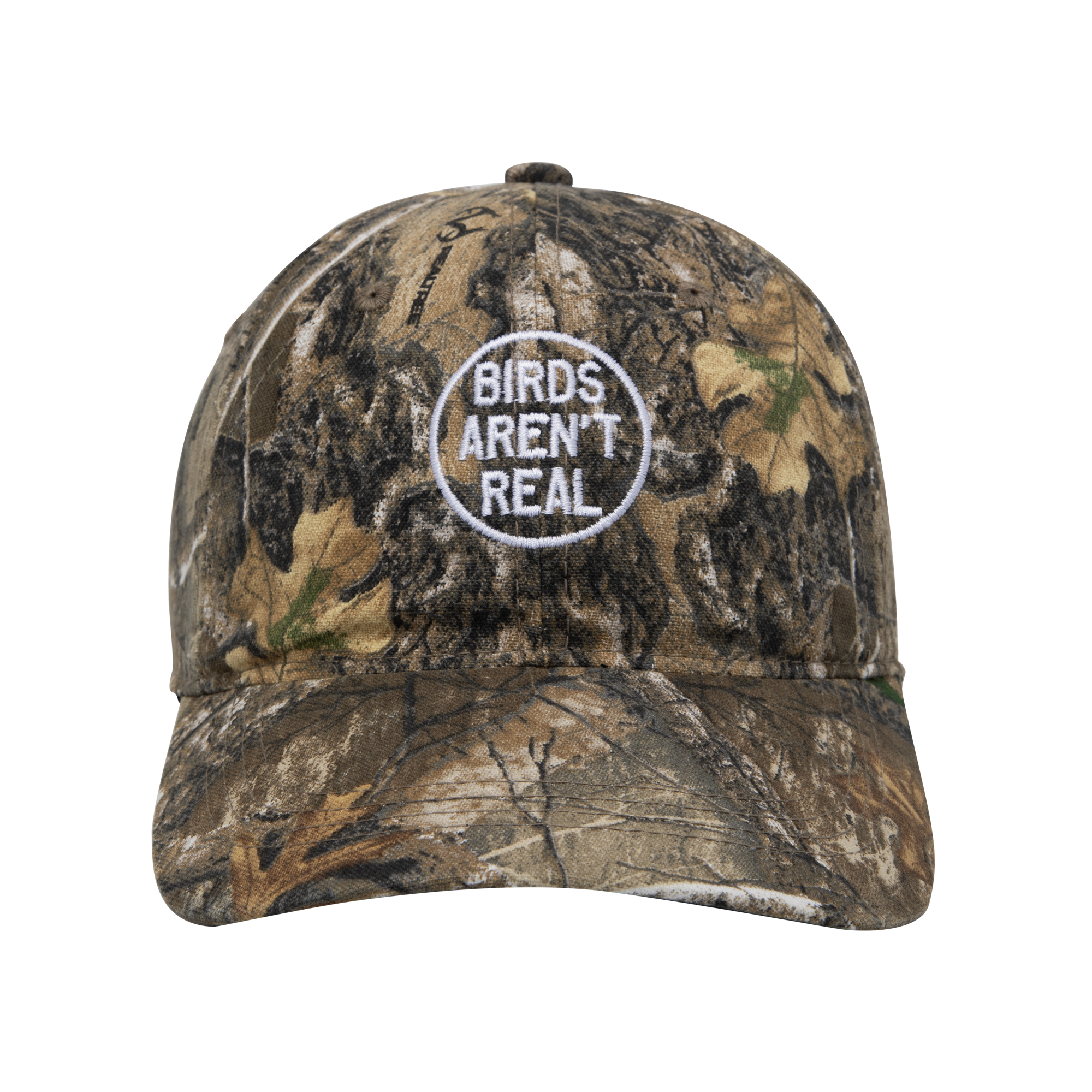 Birds Aren't Real | Camo Hat