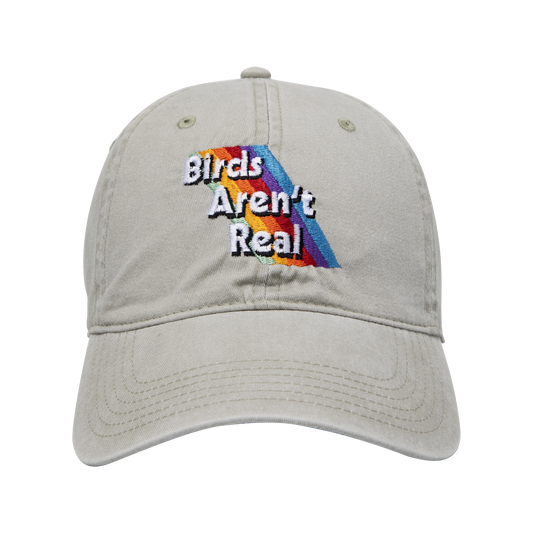 Rainbow | Gray Hat