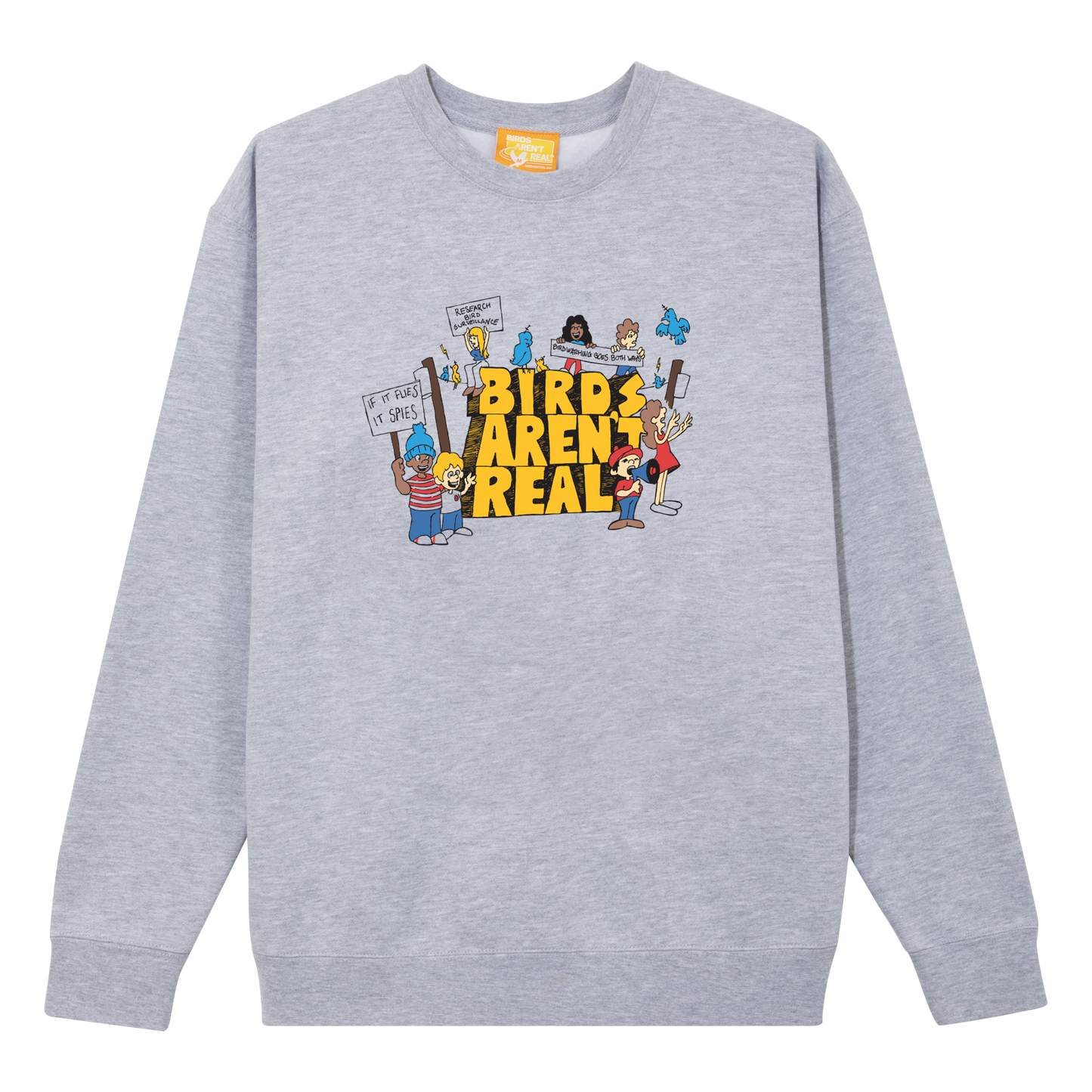 Birds Aren't Real | Ash Sweater