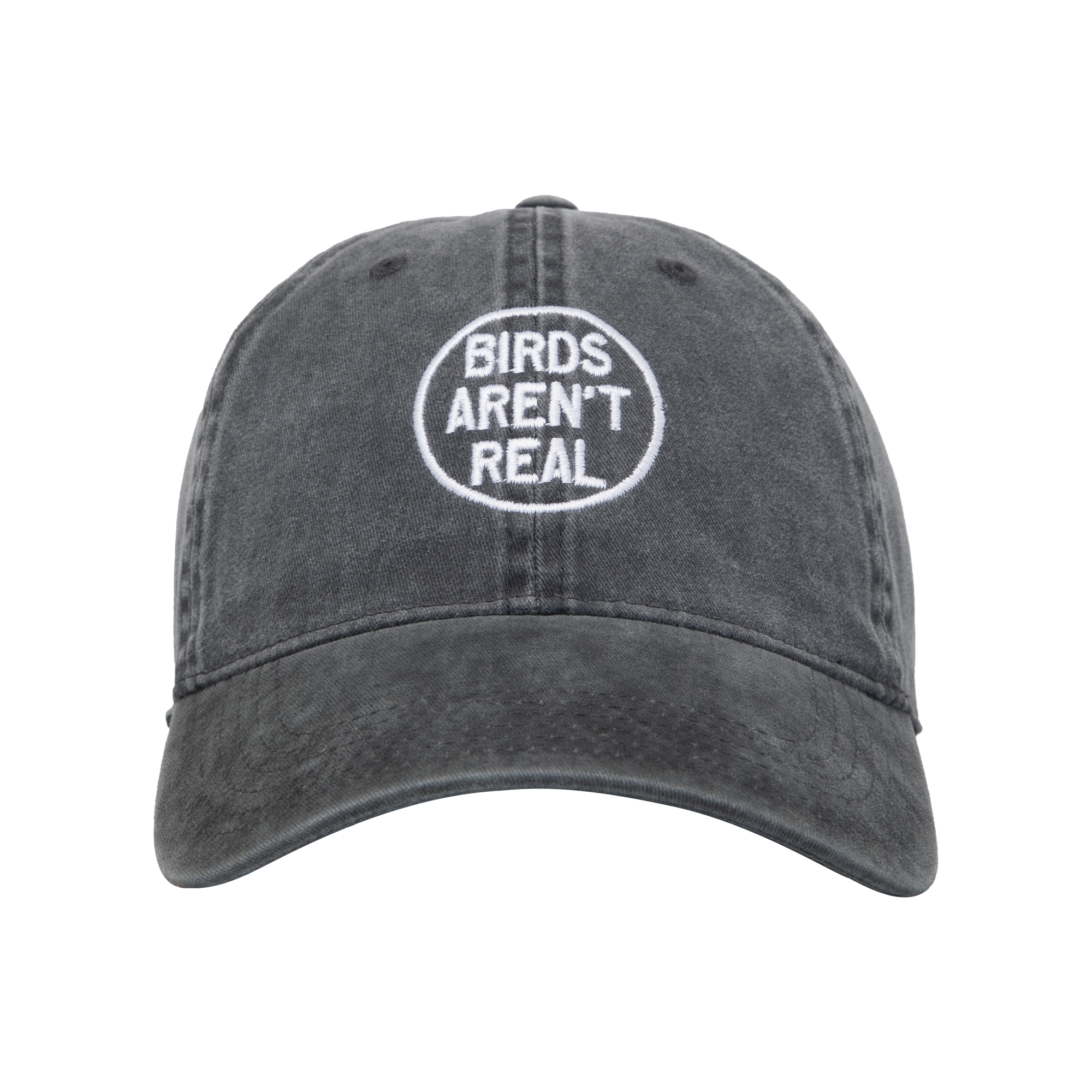 Birds Aren't Real | Black Hat