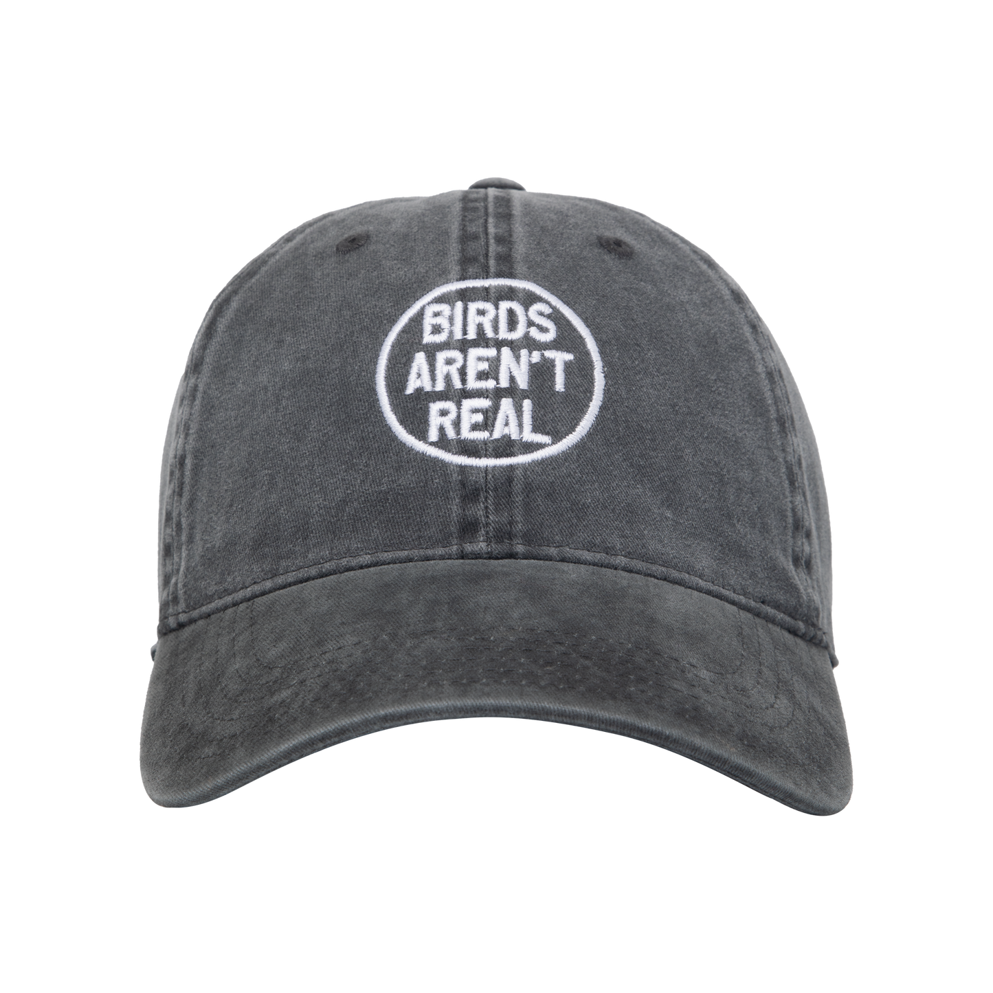 Birds Aren't Real Dad Hat