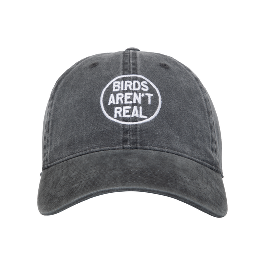Birds Aren't Real | Black Hat