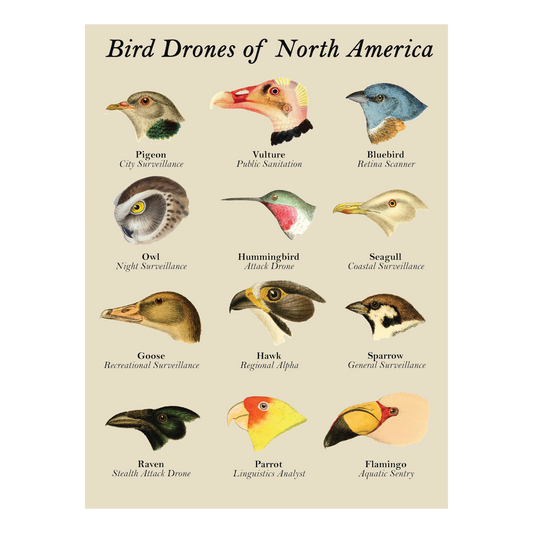 Bird Drones of North America Poster