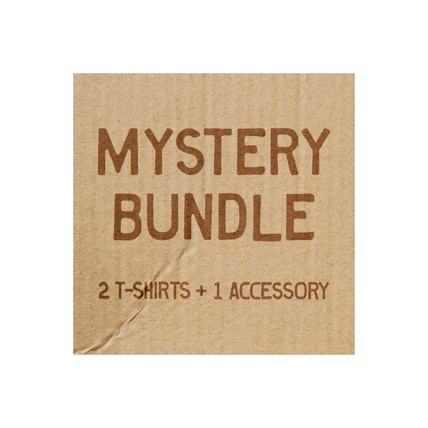 Mystery Bundle |  2 T-Shirts & 1 Accessory