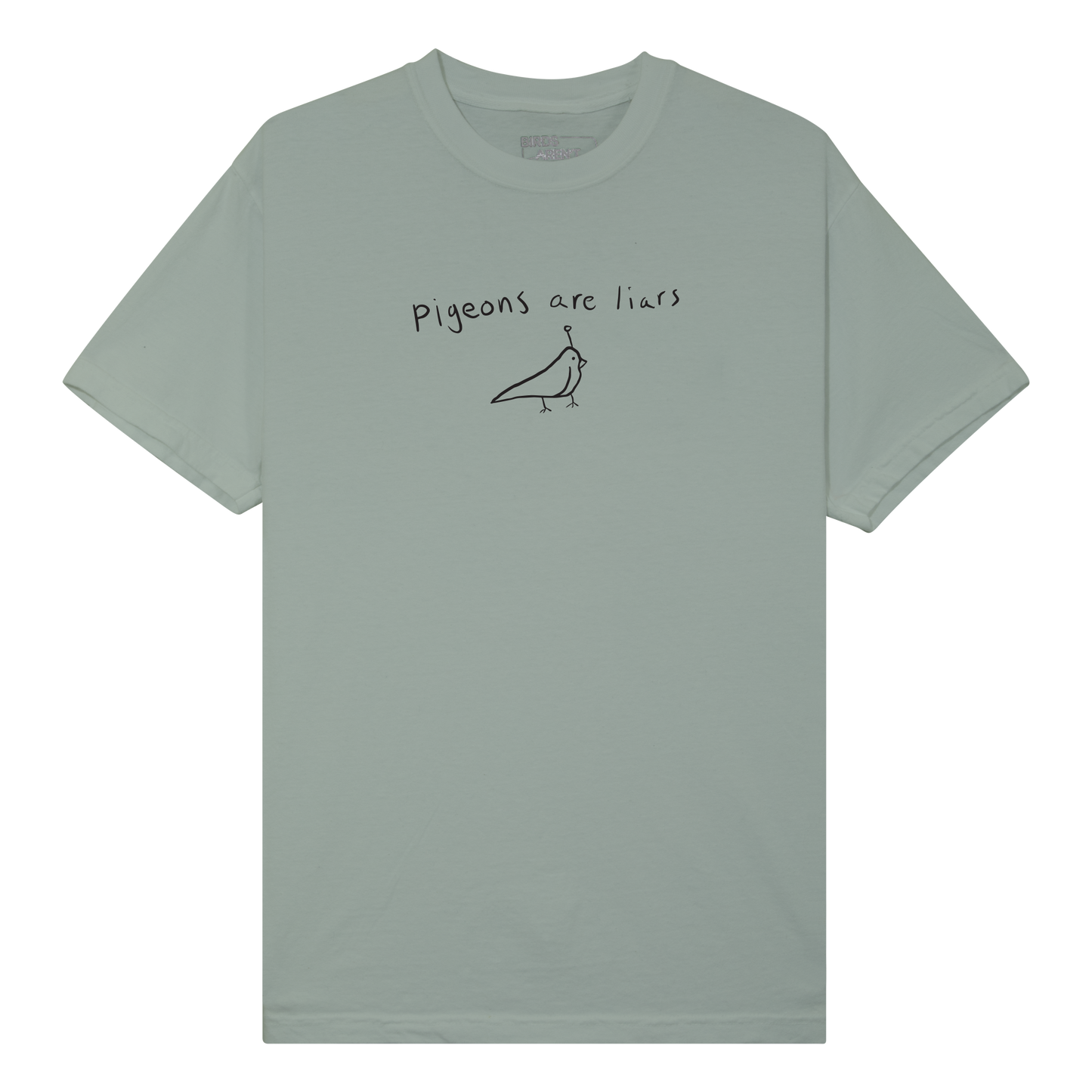 Pigeons are Liars Shirt