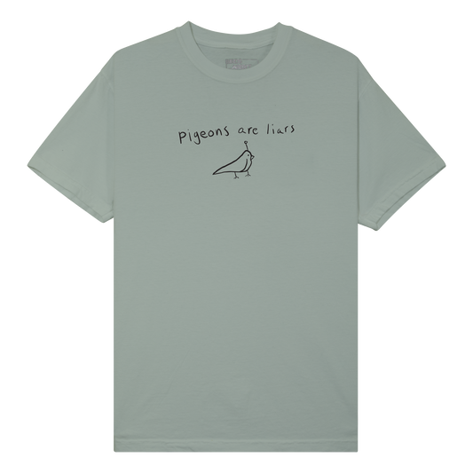 Pigeons are Liars Shirt
